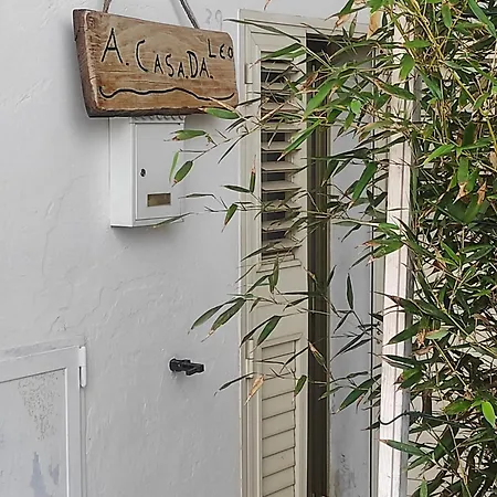 Alojamento de Acomodação e Pequeno-almoço A_casa_da_leo